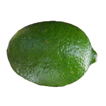 Lime peel Ingredient